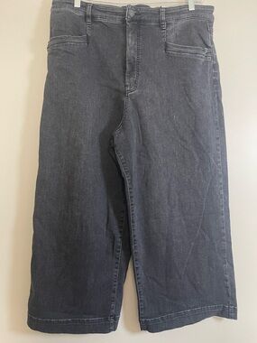 We The Free CRVY Women's Cropped Wide-Leg Jeans in Charcoal